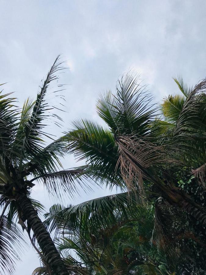 Chacara Recanto Paraiso 雅里努 外观 照片