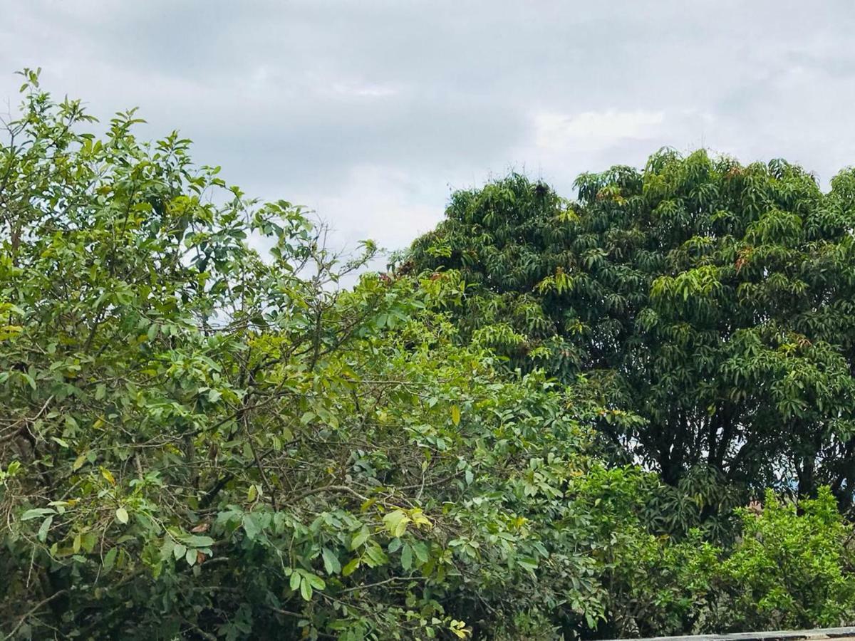 Chacara Recanto Paraiso 雅里努 外观 照片